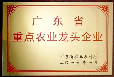 榮譽(yù)證書(shū)