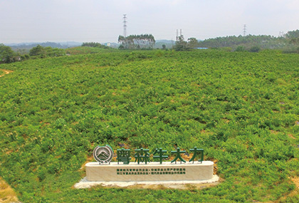 示范種植基地